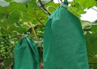Anti-bird Insect Fruit Prevention Nonwoven Bag Agricultural Protection Grape Growing Bags