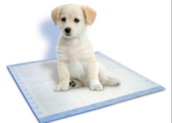Hydrophilic ES Nonwoven Fabrics for Disposable Pet Urinal Pads
