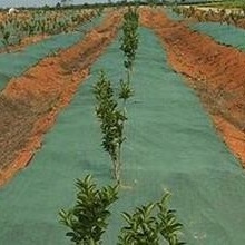 Купить Нетканая ткань для ограждения от сорняков прочная и проницаемая для садов и ферм online manufacture