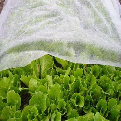 Купить Hygiene Agriculture Industry PP Nonwoven Fabric Hydropilic / Hydrophobic online manufacture