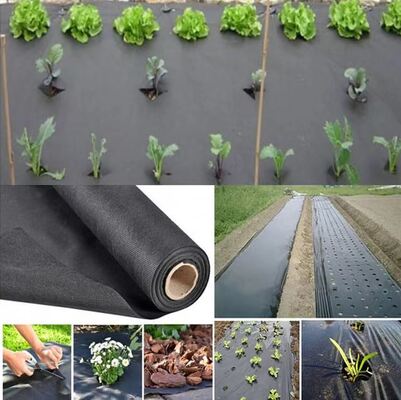 Купить Vegetable Agriculture Nonwoven Fabric Anti - frost Fruit Bag Winter Protect Use Nonwoven online manufacture