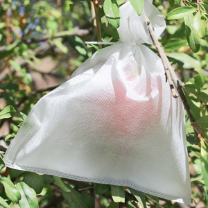 Купить Mildew 300g/M2 не сплетенной ткани земледелия высокой напряженности ISO14000 анти- online manufacture