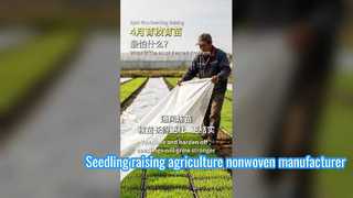 Апрельское выращивание рассады: каких проблем больше всего боятся?