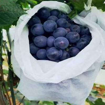 Сельскохозяйственный нетканый фруктовый рукав для упаковки